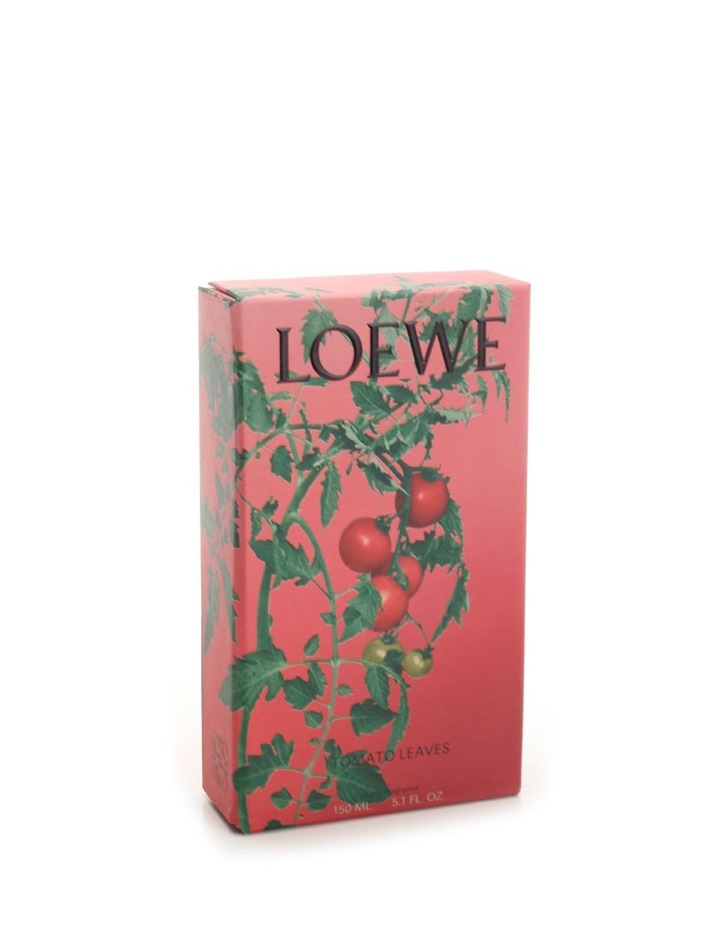 Al Duca D'Aosta Loewe Home Scents Fragranza per ambienti pomodoro Vendita Economica